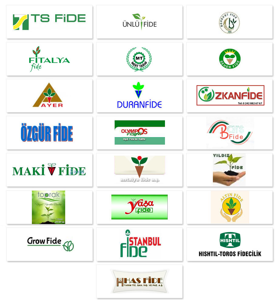Mercan Kargo Referanslar